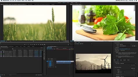 Premiere pro cc for beginners: Training Calgary - Adobe Premiere Pro Courses in Calgary