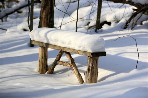 Winter Bench In The Forest Photo Print 8 X 6 By Maple Leaf