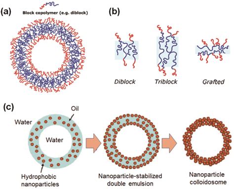 Schematic Illustration Of A Polymersomes Of Diblock Copolymer And B