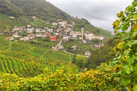 Veneto Wine Region Italy Winetourism