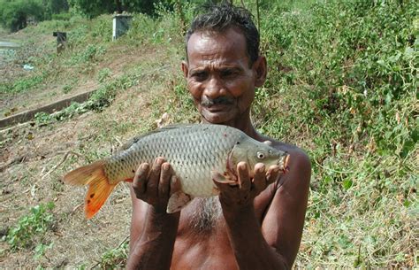 Community Fisheries At Heart Of Sri Lanka Project Aciar