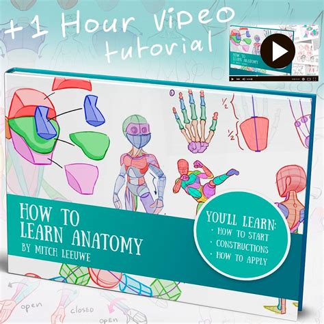 How To Learn Anatomy Ebook And Video