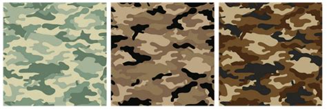 Choosing The Right Camouflage The Dispatch