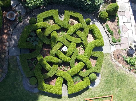 Border the entire design with dwarf boxwood or for a wilder look. English knot garden (With images) | Garden hedges, Gothic garden, Garden history