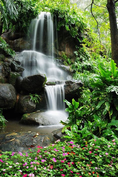 Waterfall And The Beautiful Flowers In The Garden By