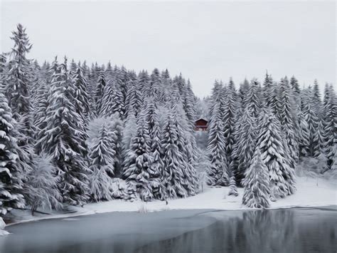 High Definition Winter Scenes Wallpaper Wallpapersafari