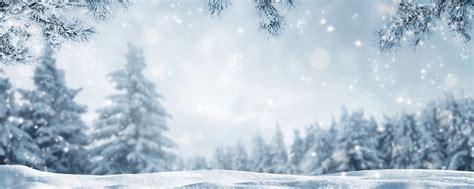 Snowy Idyllic Winter Landscape Panorama Stock Photo Download Image