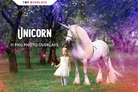 11 Unicorn Photo Overlays Photoshop Overlay Digital Overlay Magic
