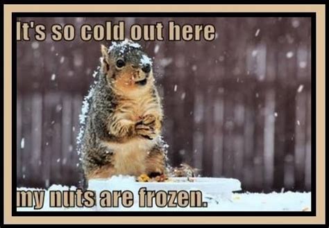 Very Cold Funny Images ~ Heaton 7 Southern Sayings For The Cold