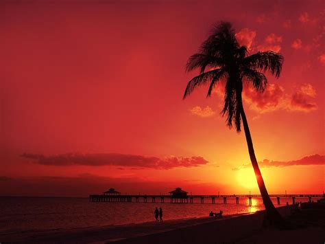Romantic Sunset Fort Myers Beach Florida Indulge Into Tropical