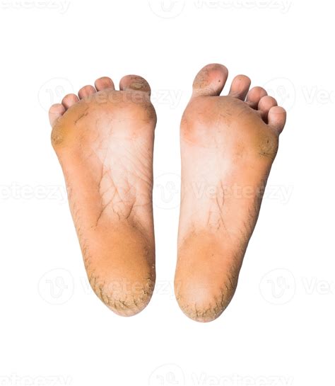 Foot Or Pair Of Bare Feet On Isolated Background 8508315 Png