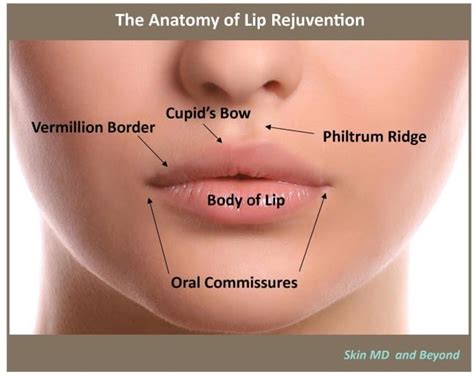 Mouth Rejuvenation Plano Tx Lip Rejuvenation Frisco Tx
