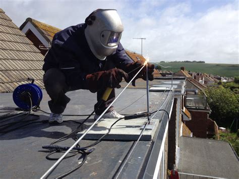 These pictures show several bird netting setups and the techniques that commercial and backyard growers have devised to install that netting over brambles and blueberries. Dormer Roof Systems | Seagull netting on Dormer | Bird ...
