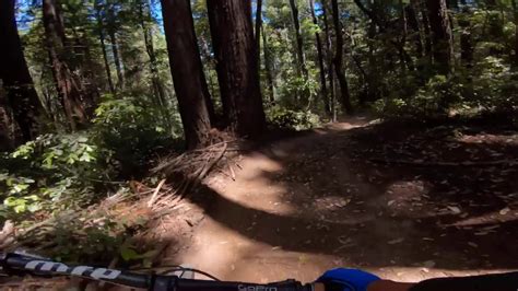 Ucsc Trails Santa Cruz Ca Youtube
