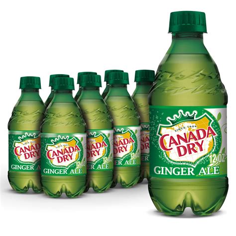 Canada Dry Ginger Ale Soda 12 Botellas De Fl Oz Ubuy Chile