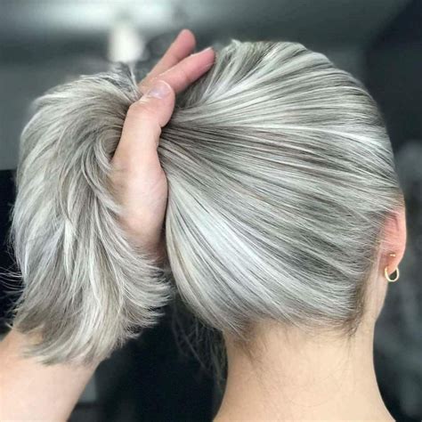Pin By Corinne Gs On Coiffeur White Hair Highlights Silver Hair