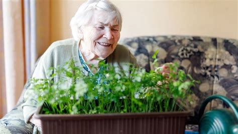 Gardening For Those With Dementia Great Fun Great Therapy