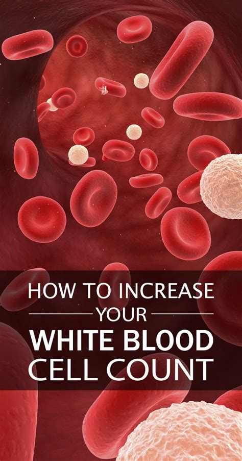 Since white blood cell count is a sign of systemic inflammation, it's no surprise that those with lower white counts live longer.subscribe to nutritionfacts. Here are top 10 ways to help increase the white blood cell ...