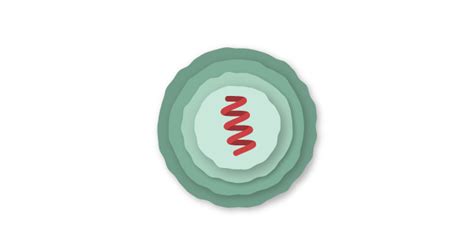 La vacuna se administra por vía intramuscular, donde las nanopartículas lipídicas se fusionan con la membrana de las células musculares y liberan las cadenas de arnm en el citoplasma. Cómo funciona la vacuna de Moderna - The New York Times ...