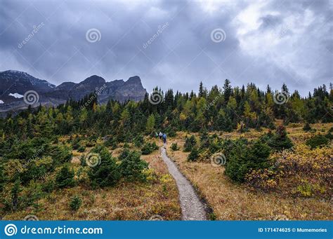 Group Travelers Trekking On Trail In Autumn Forest On Gloomy At