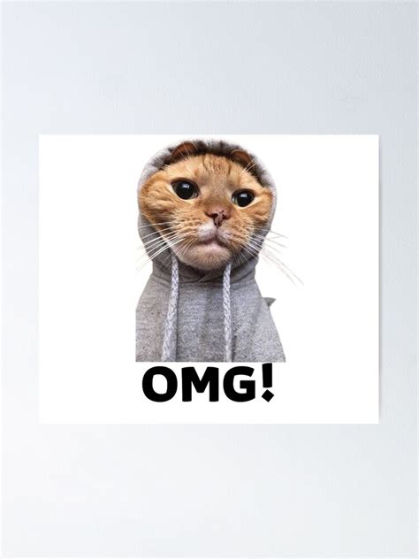 Omg Cat Meme Poster By Mony127 Redbubble