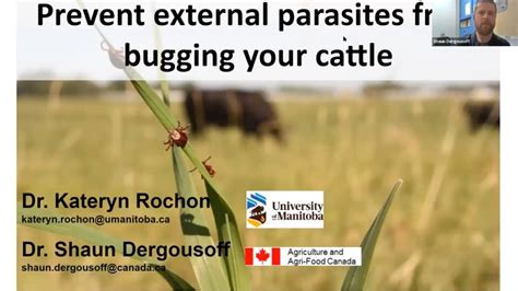 Parasites External Beef Cattle Research Council