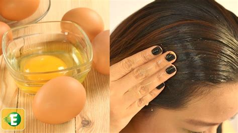 Benefits Of Egg For Hair E Health Tips Youtube