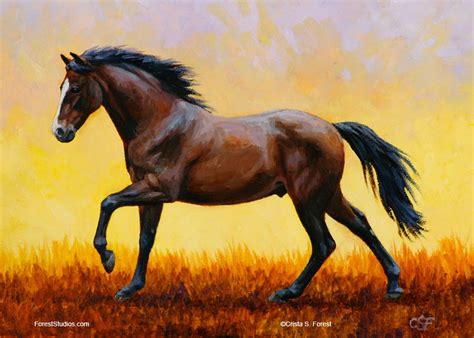 Artists seldom get a drawing right first time. Crista Forest's Animals & Art: How To Draw Animals - Horse ...