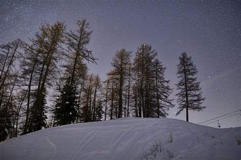 Winter Night Snowy Landscape Mountains And Trees And Stars Stock Photo
