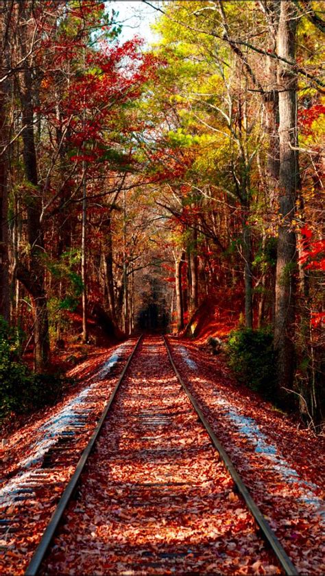 Late Fall On The Tracks Source Autumn Scenery Train