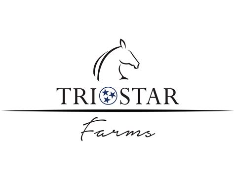 2024 SPRING FOALS — Tri-Star Farms