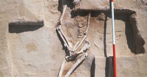 Save Send Delete Mungo Man What A 42000 Year Old Skeleton Says About