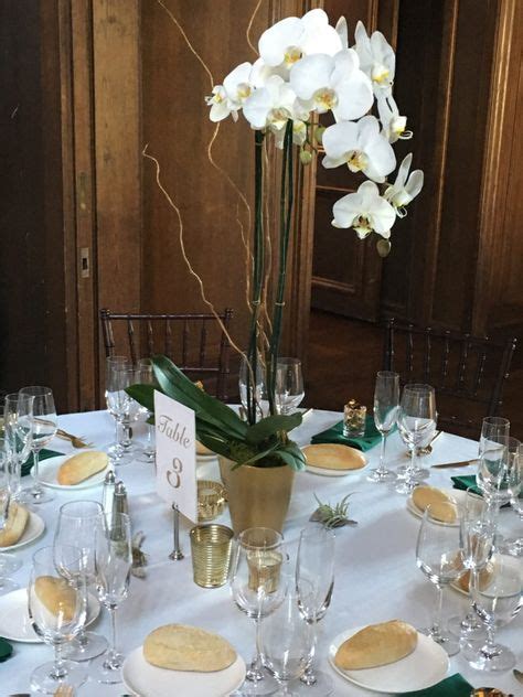 33 Best Wedding Love Images Wedding Orchid Centerpieces Wedding