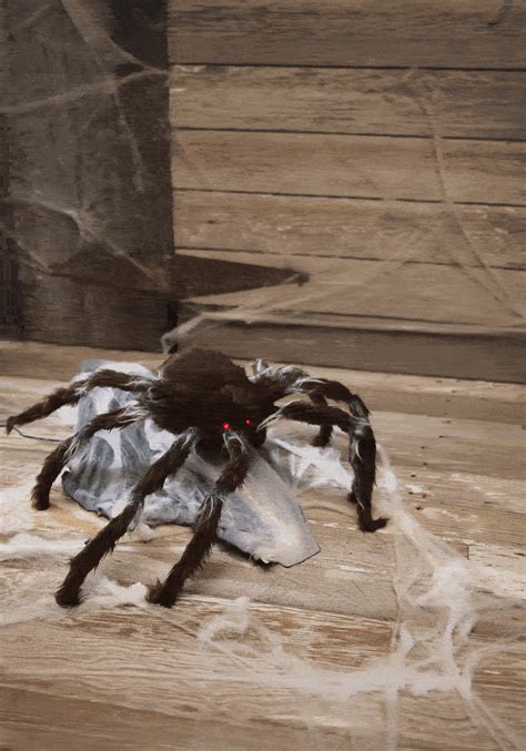 Brown Jumping Spider Spirit Halloween Communauté Mcms