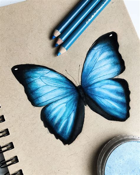 Butterfly Drawing Prismacolor Art Butterfly Drawing Color Pencil Art