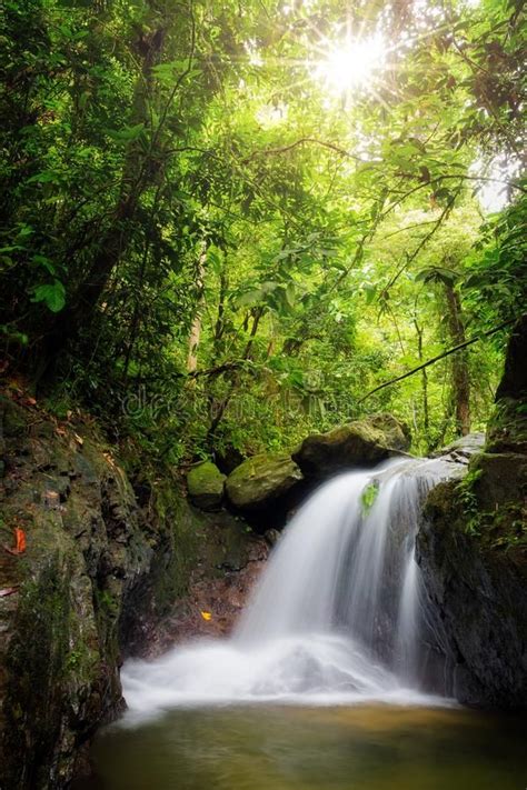 Green Waterfall In The Rainforest Sumatra Beautiful Cascade Waterfall