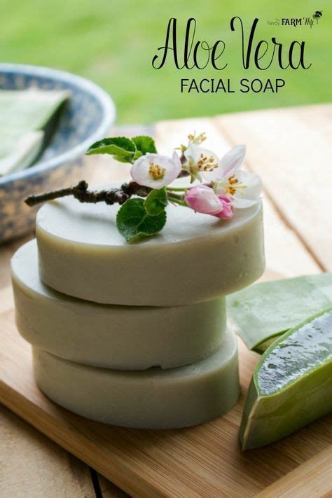 Learn How To Make Aloe Vera Soap With Fresh Aloe Also Includes A Cold