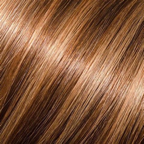 Caramel Hair Color With Honey Blonde Highlights