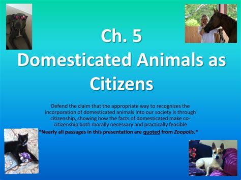 Ppt Ch 5 Domesticated Animals As Citizens Powerpoint Presentation