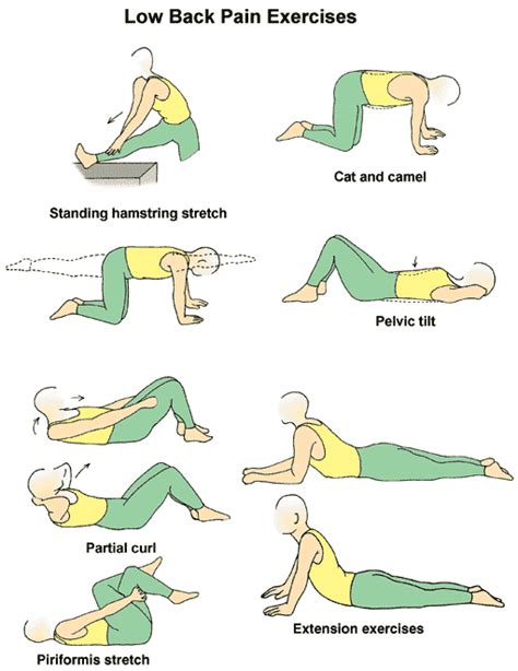 Lower Back Pain Remedies And Exercises