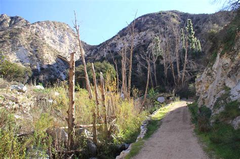 Trail Canyon Falls Angeles National Forest Tujungasunland