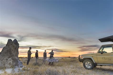 Onguma Sundowner Drive Join Up Safaris