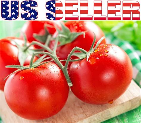 30 Organically Grown New Yorker Tomato Seeds Heirloom Non Gmo