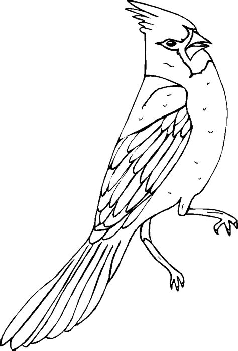 Looking for heart coloring pages for valentine's day, anniversary crafts, or just because they're sweet? Cardinal Coloring Pages - GetColoringPages.com