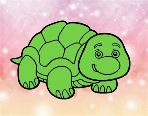 Afficher les vidéos de tortue verte. Dessin de Tortue de terre colorie par Membre non inscrit le 21 de Avril de 2017 à Coloritou.com