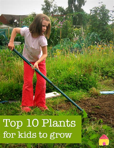 Top Ten Plants To Grow For Kids Great Ideas For Gardening With
