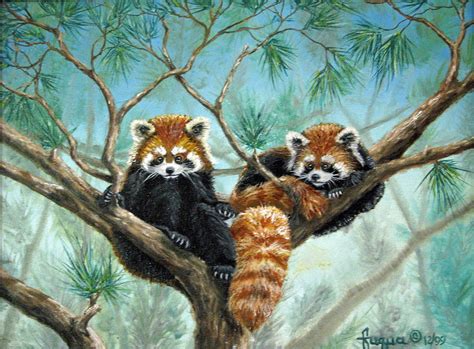 Red Pandas Painting By Beverly Fuqua