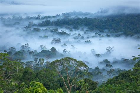 Evaporasi adalah proses dimana air berubah dari cairan menjadi gas atau uap. Nama Lain Pulau Kalimantan Adalah? Jawabannya Disini
