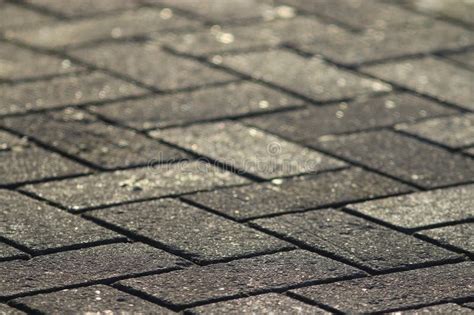 Texture Tile Paved Roadway Stock Photo Image Of Color 60205766