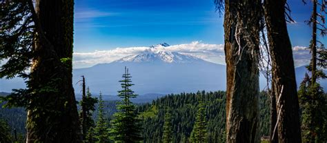 Wallpaper Forest Nature Landscape California Usa Mount Shasta
